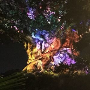 Meet your Posher, Cathy